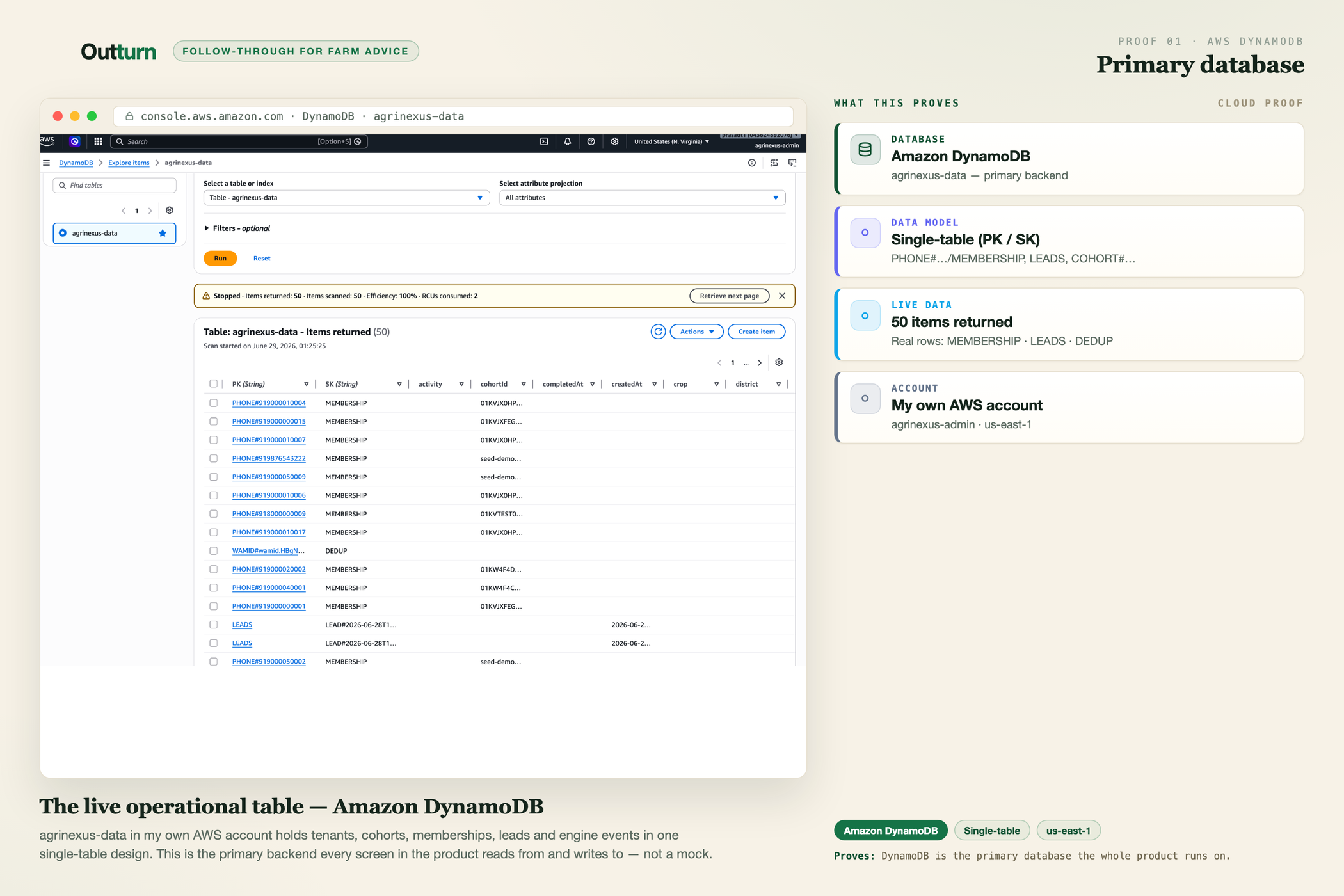 Primary DynamoDB table
